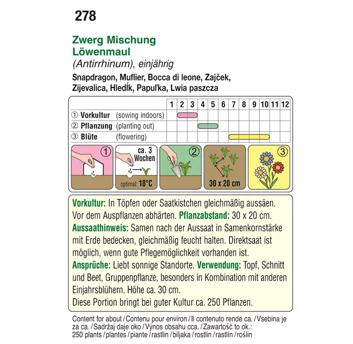 Antirrhinum Zwerg Mischung 