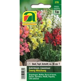 Antirrhinum Zwerg Mischung 