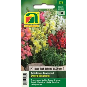 Antirrhinum Zwerg Mischung 