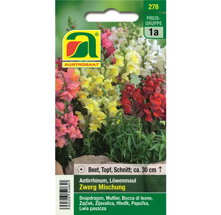 Antirrhinum Zwerg Mischung 