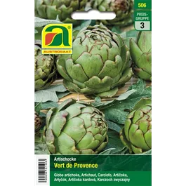 Artischocke Vert de Provence 