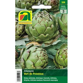 Artischocke Vert de Provence 