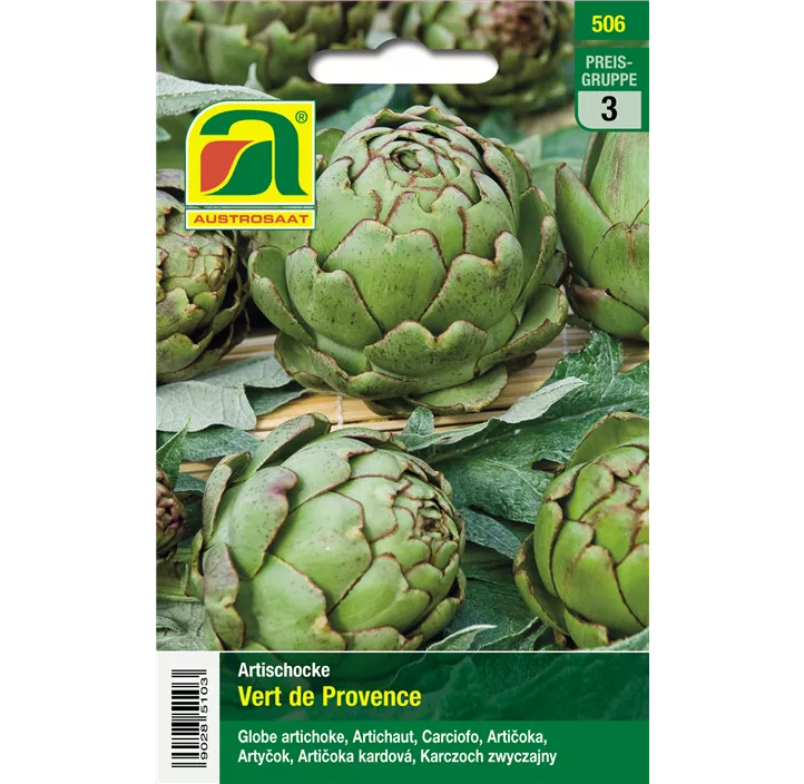 Artischocke Vert de Provence 