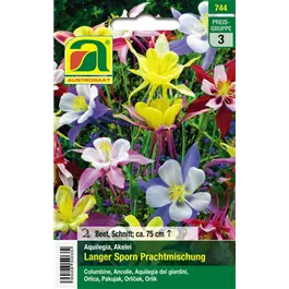 Aquilegia Prachtmischung