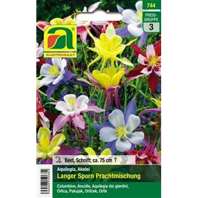 Aquilegia Prachtmischung
