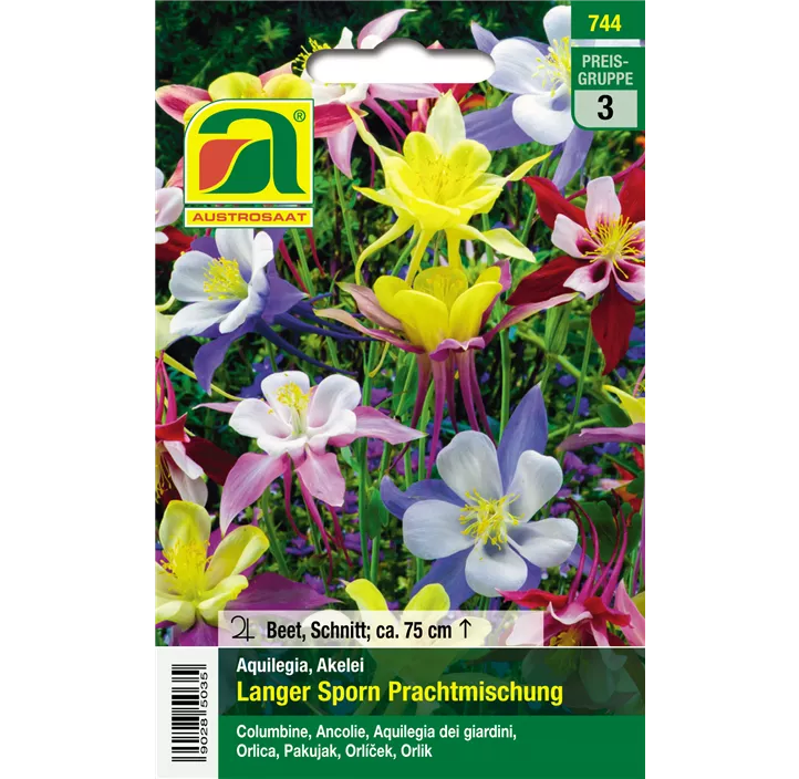 Aquilegia Prachtmischung