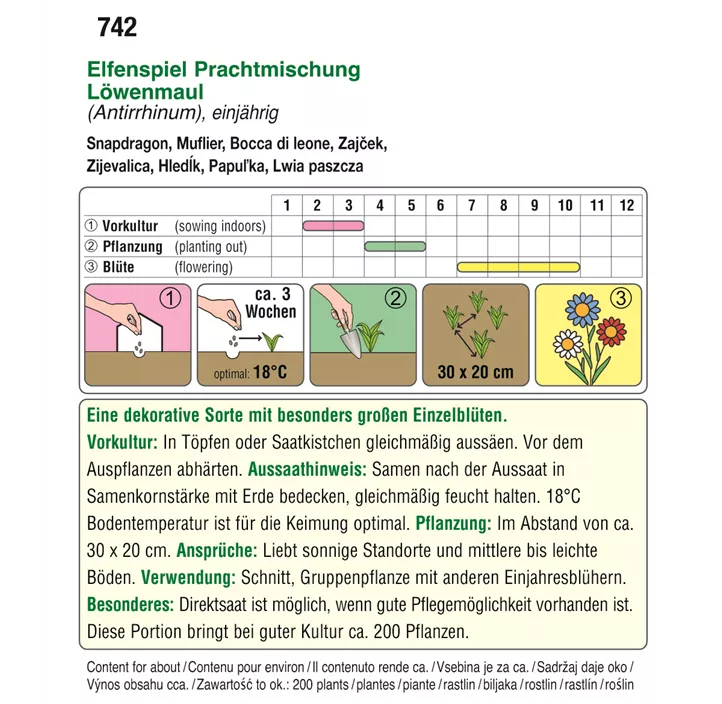 Antirrhinum Elfenspiel
