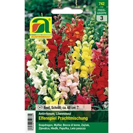 Antirrhinum Elfenspiel