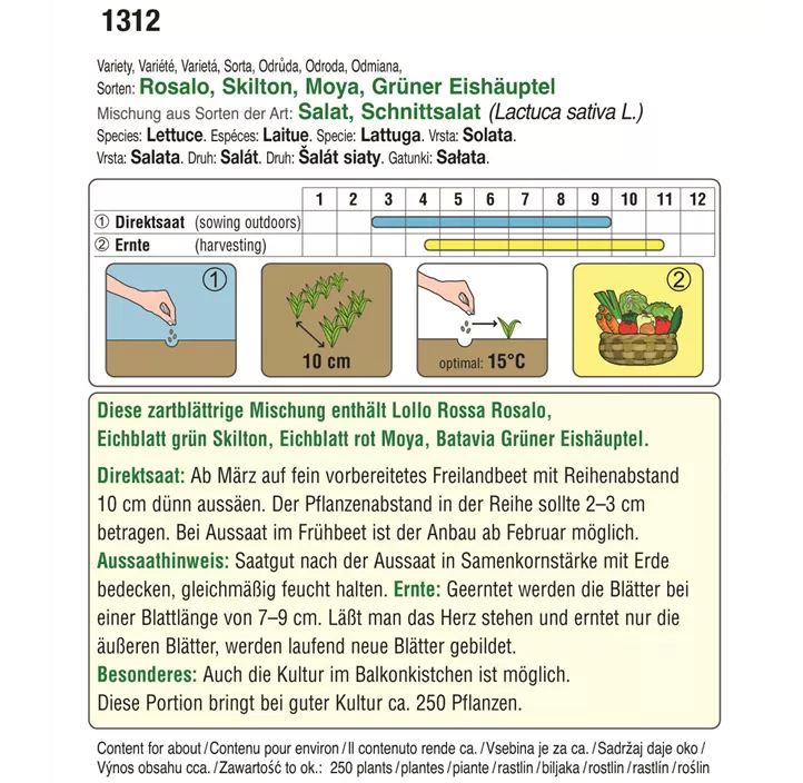 Baby Leaf Salat Mischung Gourmet Edition