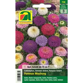 Astern Pommax Mischung 