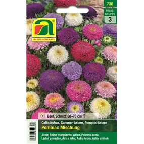 Astern Pommax Mischung 