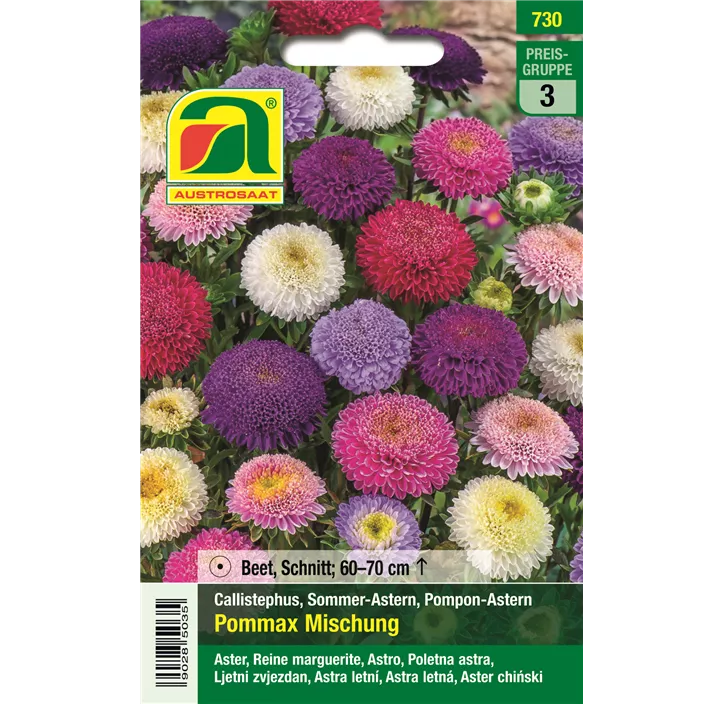 Astern Pommax Mischung 