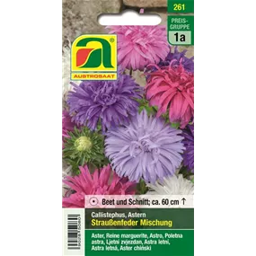 Astern Straußenfeder Mischung 