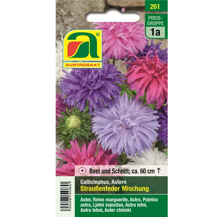 Astern Straußenfeder Mischung 