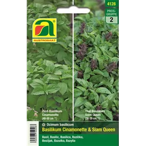 Basilikum Cinamonette & Siam Queen