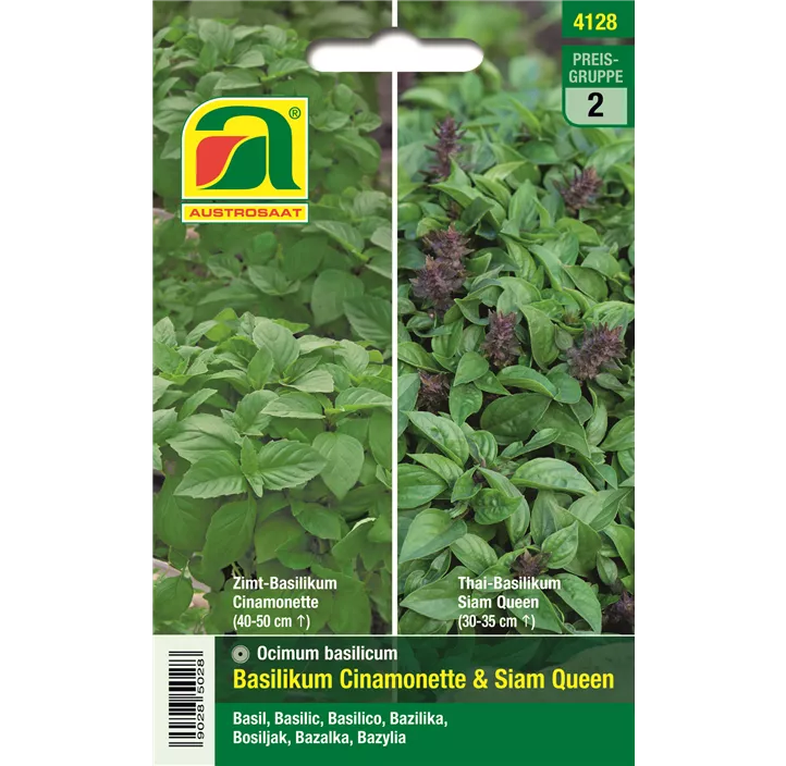 Basilikum Cinamonette & Siam Queen