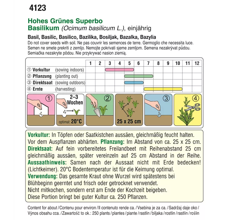 Basilikum Hohes Grünes Superbo