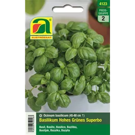 Basilikum Hohes Grünes Superbo