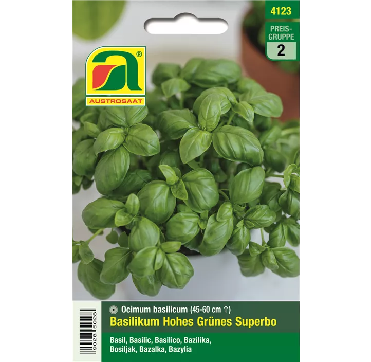 Basilikum Hohes Grünes Superbo