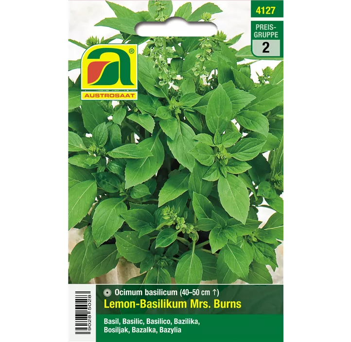 Basilikum Lemon