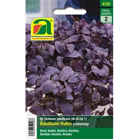 Basilikum rotblättrig Rubin 