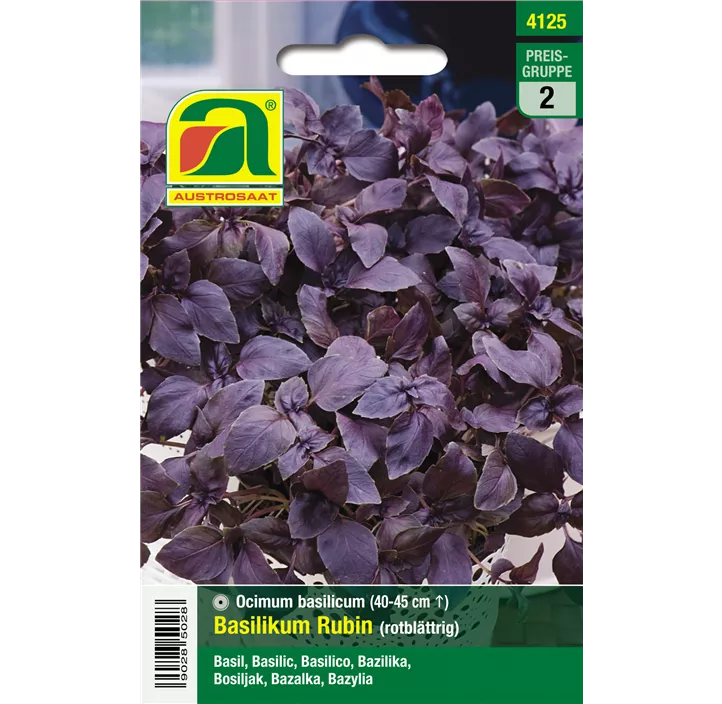 Basilikum rotblättrig Rubin 