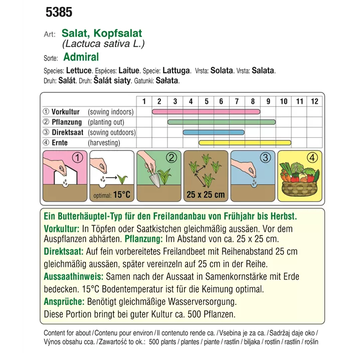 BIO Kopfsalat Admiral