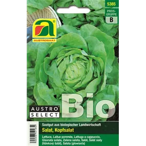 BIO Kopfsalat Admiral