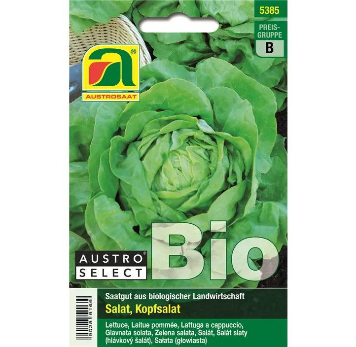 BIO Kopfsalat Admiral