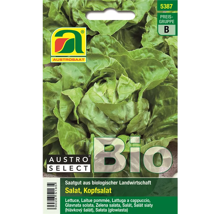 BIO Kopfsalat Kagraner Sommer 2