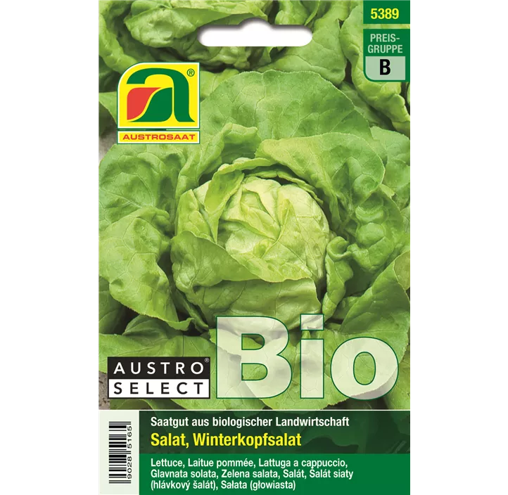 BIO Kopfsalat Neusiedler Gelber Winter