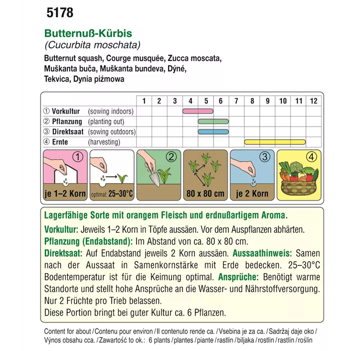 BIO Kürbis Butternut