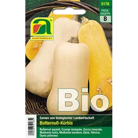 BIO Kürbis Butternut