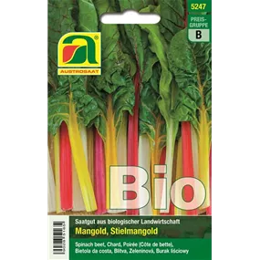 BIO Mangold Fireworks