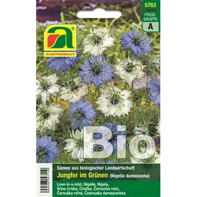 BIO Nigella damascena
