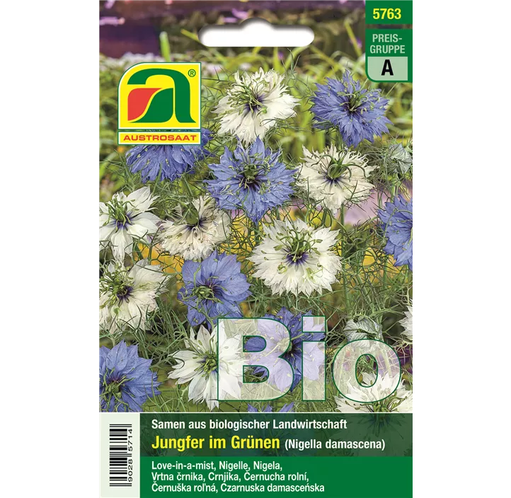 BIO Nigella damascena