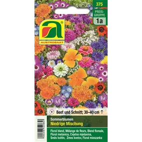 Blumenrasen Sommerblumen