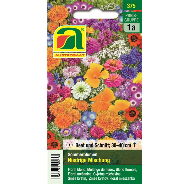 Blumenrasen Sommerblumen