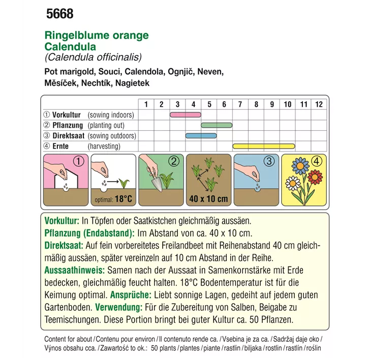 BIO Calendula Ringelblume orange