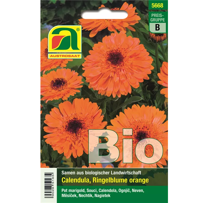 BIO Calendula Ringelblume orange