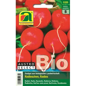 BIO Radies Wiener Rotes Treib
