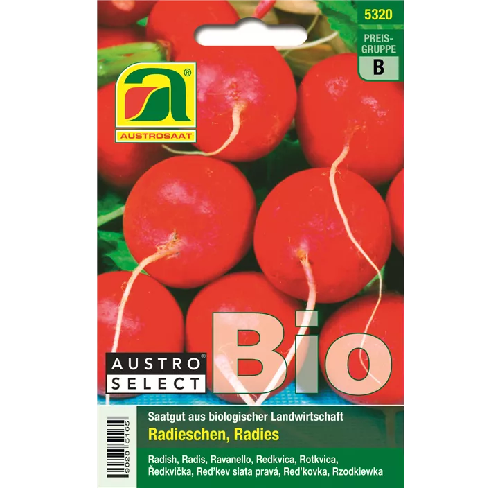 BIO Radies Wiener Rotes Treib