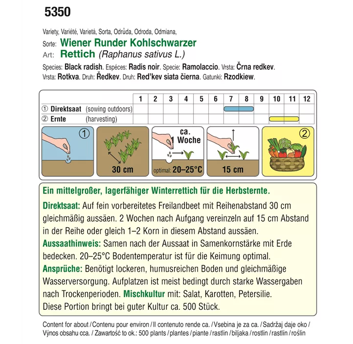 BIO Rettich Wiener Runder Kohlschwarzer