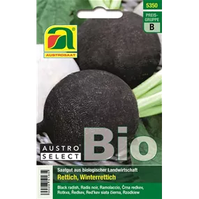 BIO Rettich Wiener Runder Kohlschwarzer