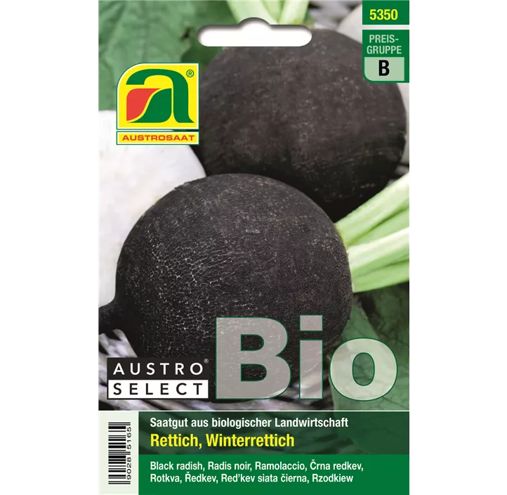 BIO Rettich Wiener Runder Kohlschwarzer
