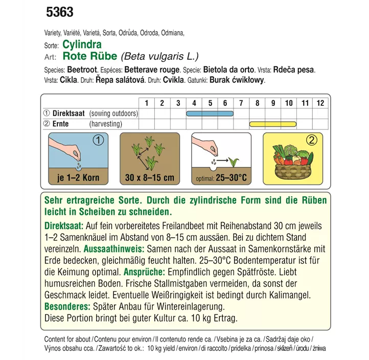 BIO Rote Rübe Cylindra