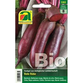 BIO Rote Rübe Cylindra