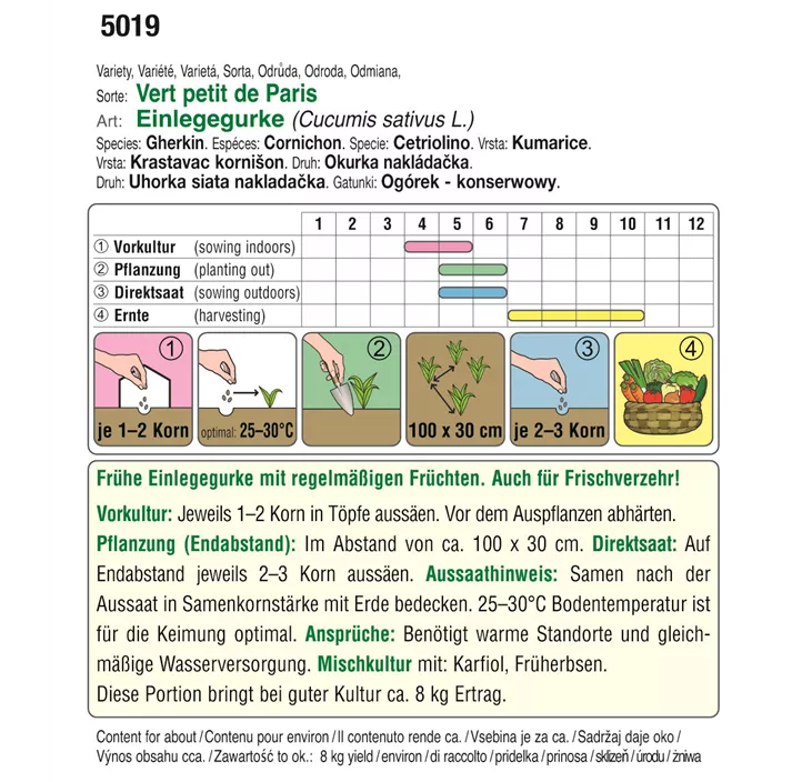 BIO Einlegegurke Vert petit de Paris