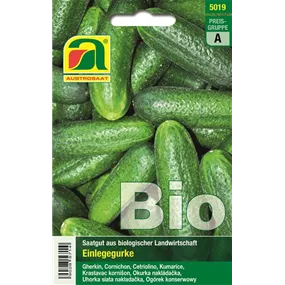 BIO Einlegegurke Vert petit de Paris