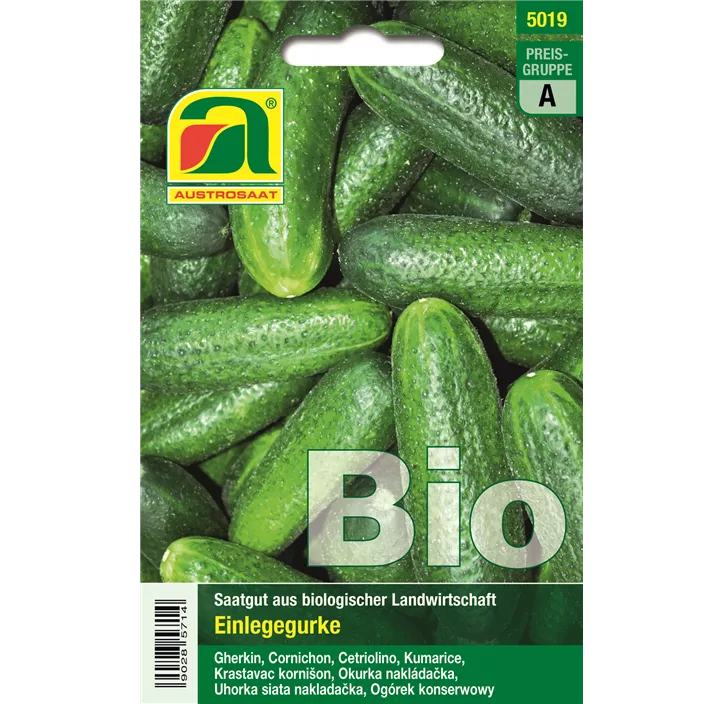 BIO Einlegegurke Vert petit de Paris